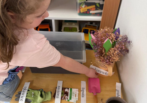 Dziewczynka kładzie nazwę obok przedmiotu.