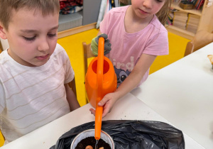 Dziewczynka podlewa cebulki.