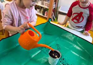 Dziewczynka podlewa cebulki.