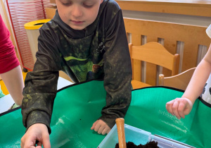 Dzieci sadzą cebulki.