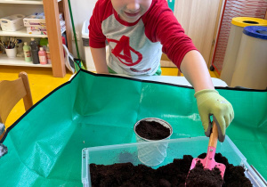 Chłopiec sypie ziemię łopatką.