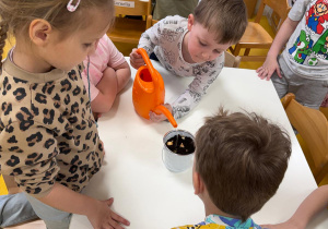 Chłopczyk polewa wodą cebulki.