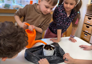Chłopiec podlewa roślinkę.