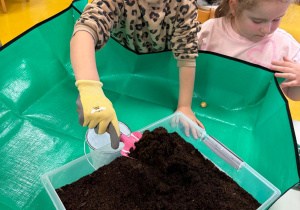 Dziewczynka nasypuje ziemię do doniczki.