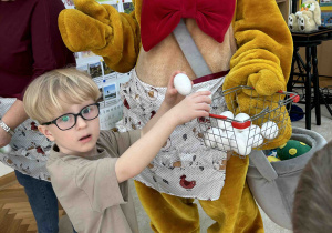 Chłopiec wkłada jajka do fartuszka.