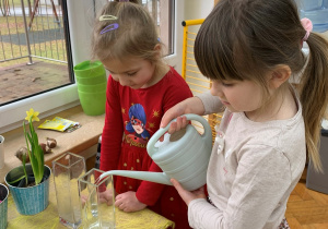 Dziewczynka nalewa wodę do wazonu.