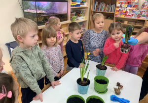 Kropelki przy stole z doniczkami i kwiatami.