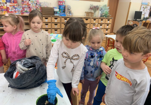 Dziewczynka sypię ziemię do doniczki.