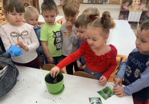 Dziewczynka sadzi cebulkę.