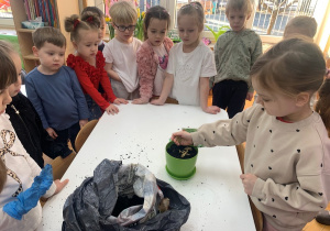 Dziewczynka wysiewa do donicy owies wielkanocny.