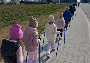 Przedszkolaki maszerują z kijkami.