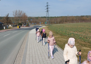Przedszkolaki maszerują z kijkami.