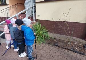 Dzieci podczas spaceru z kijkami obserwują pierwsze oznaki wiosny.