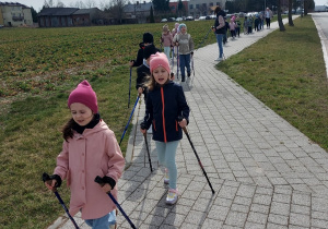 Przedszkolaki maszerują z kijkami.