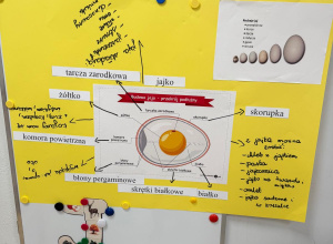 Projekt edukacyjny "Jajko"