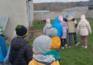 Dzieci oglądają gdzie żyją kurki.