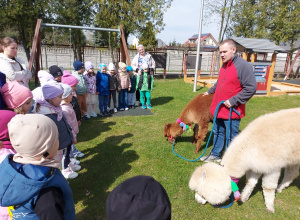 Alpaki – warsztaty edukacyjno-terapeutyczne dla dzieci