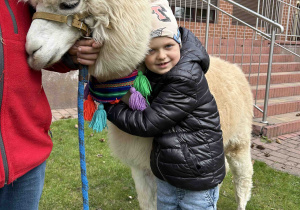 Chłopiec przytula alpakę.