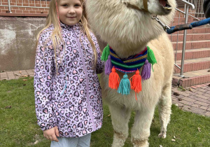 Dziewczynka stoi obok alpaki.