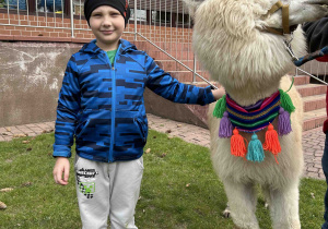 Chłopiec stoi obok alpaki.