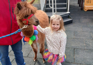 06. Dziewczynka głaska alpakę.