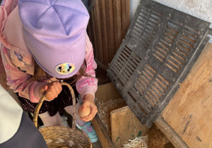 Dziewczynka zbiera jajka do koszyczka.