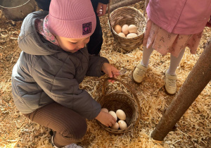 Dziewczynka wkłada jajka do koszyczka.