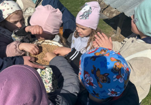 Dzieci biorą z miseczki ziarno dla kur.