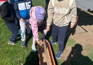 Dzieci wsypują ziarno dla kur.