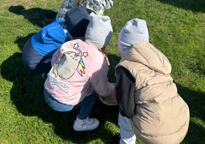 Dzieci wsypują ziarno dla kur.