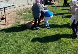 Dzieci wsypują do korytek ziarno dla kur.