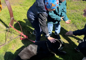 Chłopcy głaszczą psa.