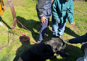 Chłopcy bawią się z psem.