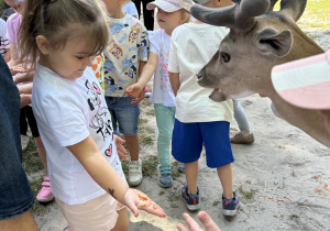 Dziewczynka daje jedzenie danielowi.