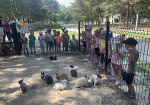 Dzieci oglądają króliki i świnki morskie.