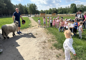 Dzieci poznają owce.