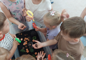 Dzieci za pomocą lup oglądają ślimaki.