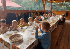 Promyczki jedzą śniadanie.