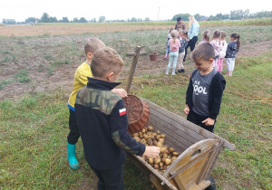 Dzieci podczas wykopek ziemniaków.