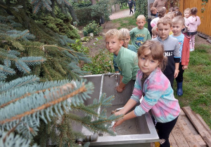 Przedszkolaki przygotowują się do kiszenia kapusty - myją ręce.