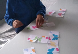 Chłopiec układa puzzle motylkowe
