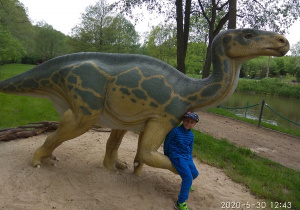 Chłopiec na wycieczce w parku dinozaurów