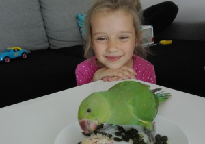Dziewczynka karmi papugę