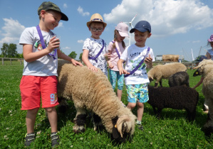 Dzieci z owieczką