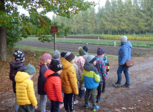 Wycieczka do Szkółki Leśnej w Borowinach