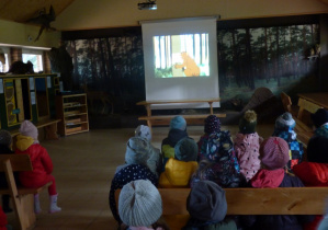 Oglądamy film edukacyjny pt.Dzik Ryjo