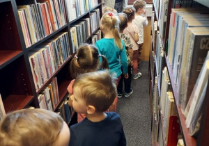 Książki w bibliotece