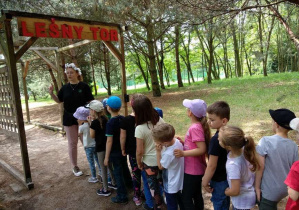 Zdjęcie 5 na 27
