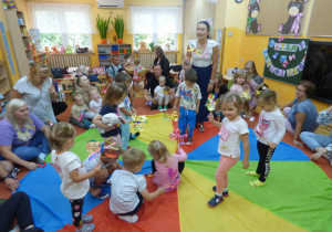 Motylki szukają odpowiedniego kwiatka