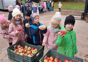 Dzieci wybierają jabłuszka